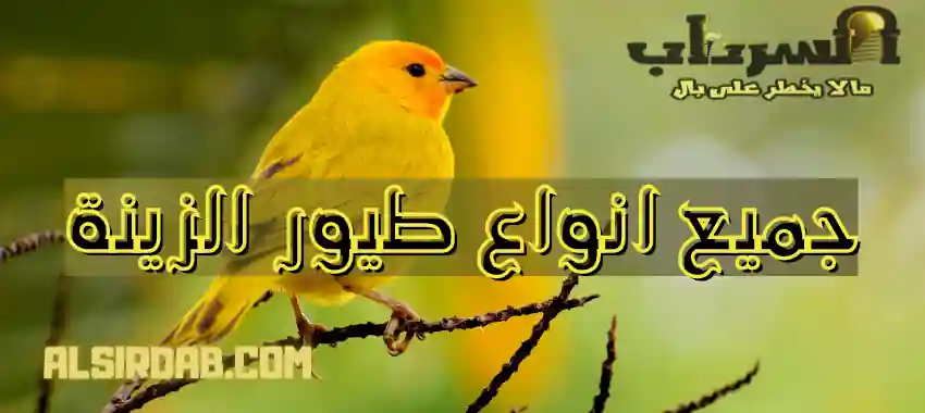 جميع انواع طيور الزينة