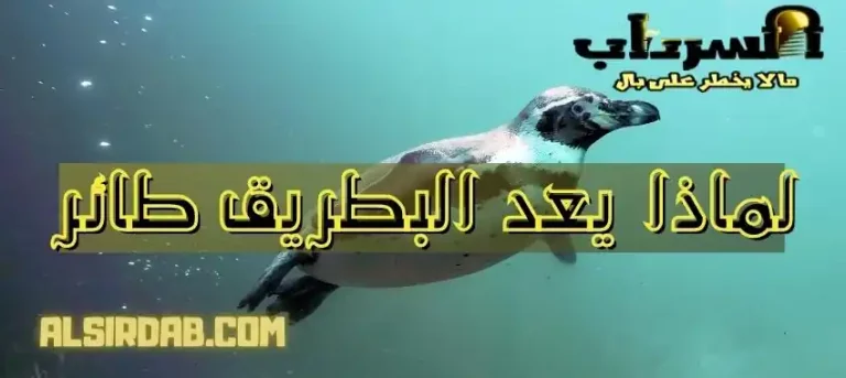 Read more about the article لماذا يعد البطريق من الطيور ؟ (إجابة واضحة ومختصرة)