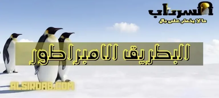 Read more about the article البطريق الامبراطور : 8 حقائق عجيبة عن الطيور الملكية