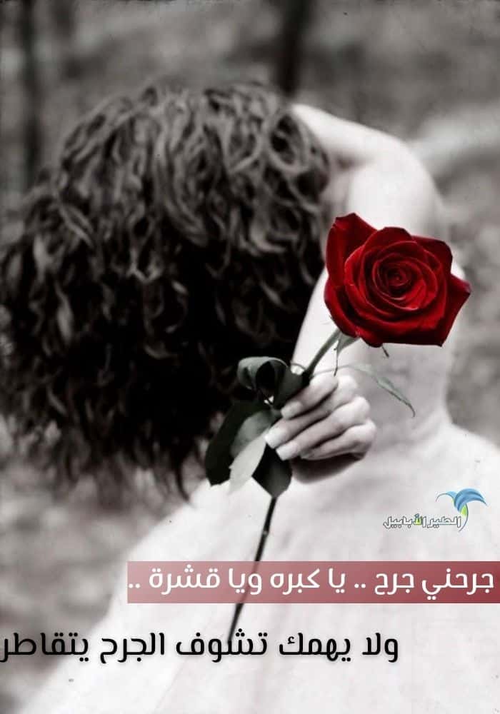 صورة فتاة حزينة تمسك وردة حمراء مكتوب عليها كلام خليجي حزين