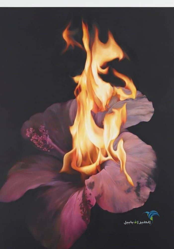 صوره وردة جميلة تحترق