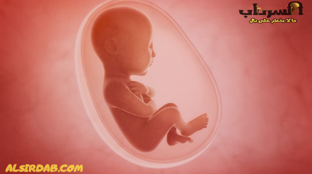 أسباب موت وتوقف نبض الجنين في الشهر الرابع