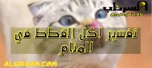 Read more about the article تفسير حلم اكل القطط في المنام