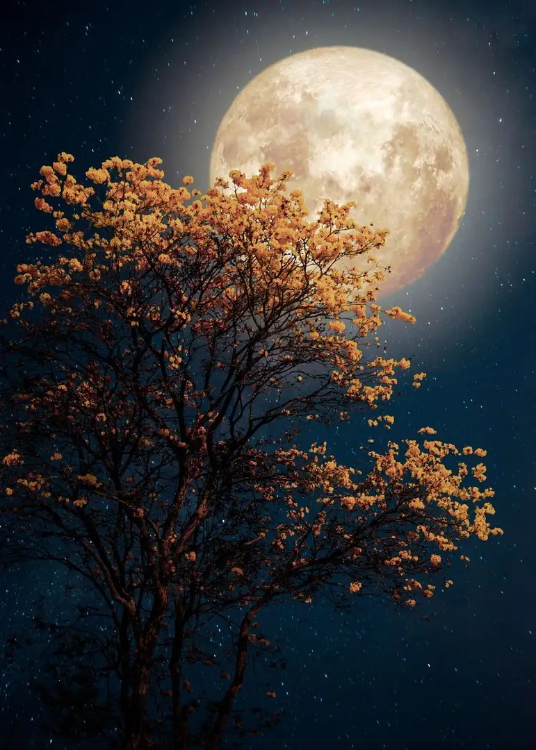 صور قمر جميلة