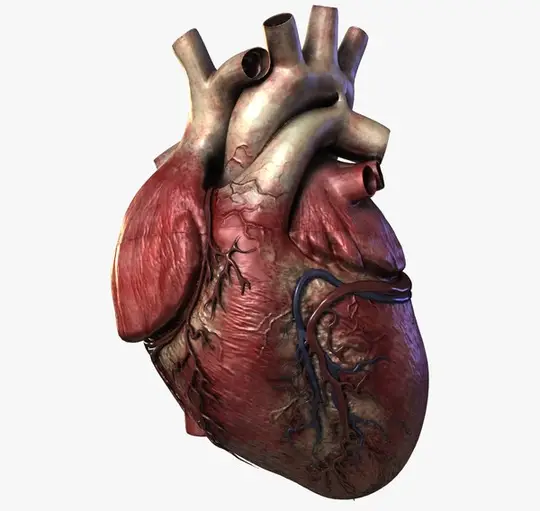 صورة قلب انسان