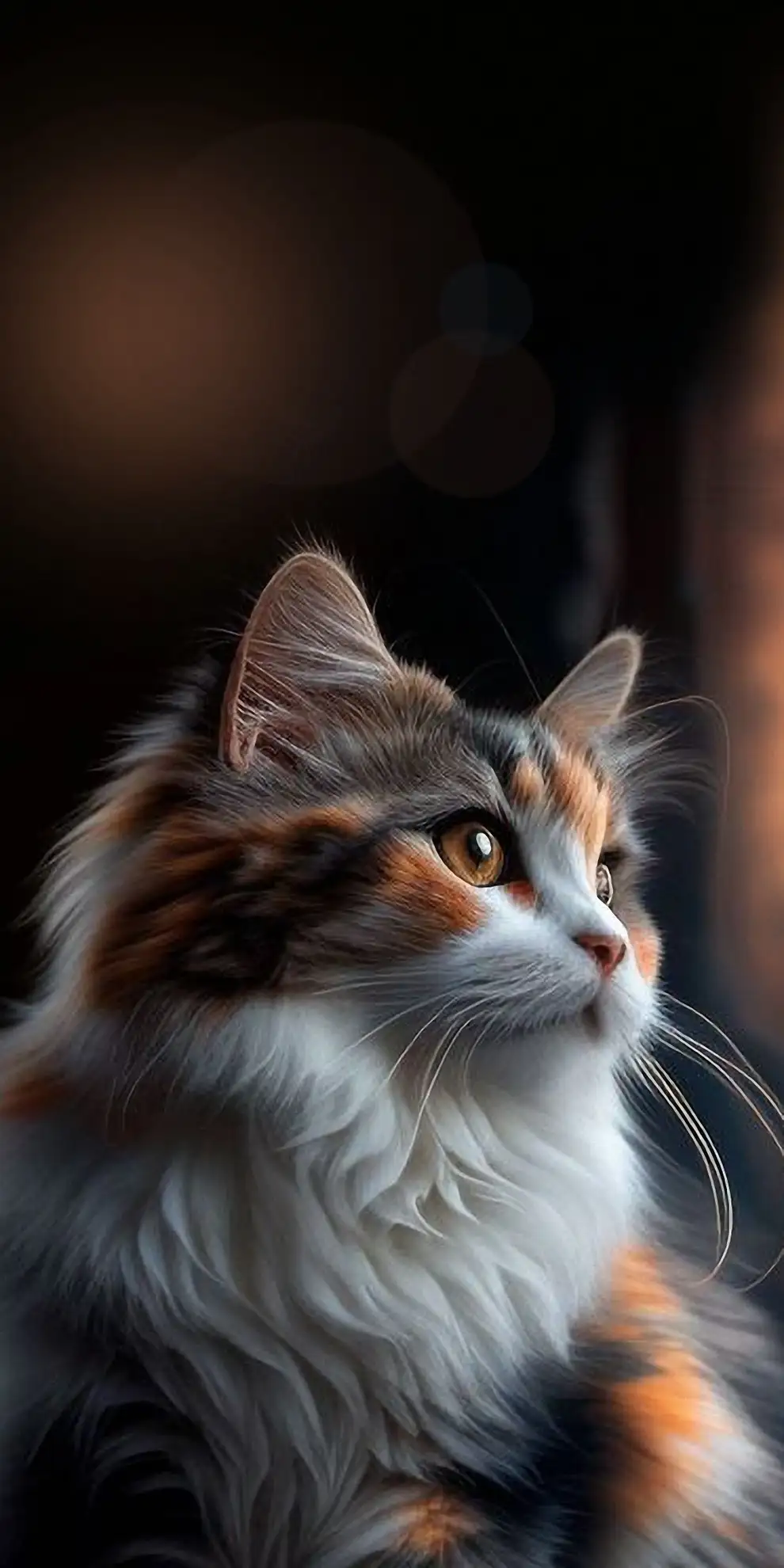 قطط صغيرة جميلة كيوت